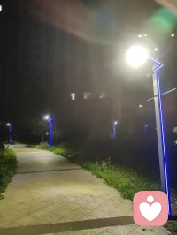 《宇凡夜色阑珊悟心学》
夜步幽径，路灯迤逦铺光，林荫静穆，漫漫步道恰似心路缩影，灯火遥遥引路，恰如心理学求索途中不灭的信念，于此静夜复盘研学所得，将精神分析三大流派奥义、比昂学说融汇宇凡道的修心体系，沉淀所思，渡己亦愿渡一众求索苍生。
 
精神分析三大流派各辟幽境：弗洛伊德经典流派锚定本我、自我、超我的三层人格架构，揭开潜意识深处潜藏的欲望与防御机制，让人看清内心本能、现实约束、道德准则三者的拉扯博弈；阿德勒个体心理学跳出原生宿命的桎梏，聚焦自卑补偿、共同体感受，指引人挣脱过往枷锁，主动塑造往后的成长走向；荣格分析心理学深挖集体无意识、原型意象，解锁世代积淀深藏的心灵底蕴，拓宽了内心探索的边界。立足三家理论打底，再深耕比昂心理学，更有豁然贯通之感。
 
钻研比昂的思想之后，我体悟到β元素、配对思想、无欲望觉察的深意，日常备考屡屡受阻的困顿，正是内心未完成的情绪沉淀、脑雾扰动思绪造成阻滞。依托宇凡道本我、真我、无我三阶修行次第，恰好能够完成理论互照：经典精神分析描摹的本我，对应宇凡道最初受习气牵绊的本我阶段；经由阿德勒、荣格的理论打磨觉知，淬炼坚守本心的真我；最后承袭比昂放下执念、摒除过度渴求的理念，抵达淡然静定的无我之境。
 
给力课堂的系统授课、情境实验的实操历练，让我不再拘泥书本教条。面对考证途中的挫败、外界标签带来的纷扰，我计划去往古刹静修三日，借清净环境沉淀心绪。一方面细致梳理比昂晦涩的配对概念，拆解考试遇到的难点；另一方面以宇凡道修行法门抚平焦躁，把应试的渴求转化成深耕专业的定力。须知咨询师必先安顿自身心念，才能够承接来访者的情绪风浪。往后我会以三大流派搭建理论骨架，以比昂思想精进实操细节，秉持宇凡道向内修持的准则严守咨询边界。沿路灯火绵长，心中明灯常驻，打磨专业功底，坚守正道微光，以通透学识抚慰迷茫访客，将研学所得化作渡世暖意，缓缓照亮众人的心路。
