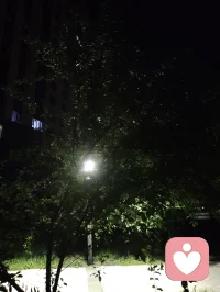 《宇凡夜色阑珊悟心学》
夜步幽径，路灯迤逦铺光，林荫静穆，漫漫步道恰似心路缩影，灯火遥遥引路，恰如心理学求索途中不灭的信念，于此静夜复盘研学所得，将精神分析三大流派奥义、比昂学说融汇宇凡道的修心体系，沉淀所思，渡己亦愿渡一众求索苍生。
 
精神分析三大流派各辟幽境：弗洛伊德经典流派锚定本我、自我、超我的三层人格架构，揭开潜意识深处潜藏的欲望与防御机制，让人看清内心本能、现实约束、道德准则三者的拉扯博弈；阿德勒个体心理学跳出原生宿命的桎梏，聚焦自卑补偿、共同体感受，指引人挣脱过往枷锁，主动塑造往后的成长走向；荣格分析心理学深挖集体无意识、原型意象，解锁世代积淀深藏的心灵底蕴，拓宽了内心探索的边界。立足三家理论打底，再深耕比昂心理学，更有豁然贯通之感。
 
钻研比昂的思想之后，我体悟到β元素、配对思想、无欲望觉察的深意，日常备考屡屡受阻的困顿，正是内心未完成的情绪沉淀、脑雾扰动思绪造成阻滞。依托宇凡道本我、真我、无我三阶修行次第，恰好能够完成理论互照：经典精神分析描摹的本我，对应宇凡道最初受习气牵绊的本我阶段；经由阿德勒、荣格的理论打磨觉知，淬炼坚守本心的真我；最后承袭比昂放下执念、摒除过度渴求的理念，抵达淡然静定的无我之境。
 
给力课堂的系统授课、情境实验的实操历练，让我不再拘泥书本教条。面对考证途中的挫败、外界标签带来的纷扰，我计划去往古刹静修三日，借清净环境沉淀心绪。一方面细致梳理比昂晦涩的配对概念，拆解考试遇到的难点；另一方面以宇凡道修行法门抚平焦躁，把应试的渴求转化成深耕专业的定力。须知咨询师必先安顿自身心念，才能够承接来访者的情绪风浪。往后我会以三大流派搭建理论骨架，以比昂思想精进实操细节，秉持宇凡道向内修持的准则严守咨询边界。沿路灯火绵长，心中明灯常驻，打磨专业功底，坚守正道微光，以通透学识抚慰迷茫访客，将研学所得化作渡世暖意，缓缓照亮众人的心路。