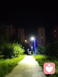 《宇凡夜色阑珊悟心学》
夜步幽径，路灯迤逦铺光，林荫静穆，漫漫步道恰似心路缩影，灯火遥遥引路，恰如心理学求索途中不灭的信念，于此静夜复盘研学所得，将精神分析三大流派奥义、比昂学说融汇宇凡道的修心体系，沉淀所思，渡己亦愿渡一众求索苍生。
 
精神分析三大流派各辟幽境：弗洛伊德经典流派锚定本我、自我、超我的三层人格架构，揭开潜意识深处潜藏的欲望与防御机制，让人看清内心本能、现实约束、道德准则三者的拉扯博弈；阿德勒个体心理学跳出原生宿命的桎梏，聚焦自卑补偿、共同体感受，指引人挣脱过往枷锁，主动塑造往后的成长走向；荣格分析心理学深挖集体无意识、原型意象，解锁世代积淀深藏的心灵底蕴，拓宽了内心探索的边界。立足三家理论打底，再深耕比昂心理学，更有豁然贯通之感。
 
钻研比昂的思想之后，我体悟到β元素、配对思想、无欲望觉察的深意，日常备考屡屡受阻的困顿，正是内心未完成的情绪沉淀、脑雾扰动思绪造成阻滞。依托宇凡道本我、真我、无我三阶修行次第，恰好能够完成理论互照：经典精神分析描摹的本我，对应宇凡道最初受习气牵绊的本我阶段；经由阿德勒、荣格的理论打磨觉知，淬炼坚守本心的真我；最后承袭比昂放下执念、摒除过度渴求的理念，抵达淡然静定的无我之境。
 
给力课堂的系统授课、情境实验的实操历练，让我不再拘泥书本教条。面对考证途中的挫败、外界标签带来的纷扰，我计划去往古刹静修三日，借清净环境沉淀心绪。一方面细致梳理比昂晦涩的配对概念，拆解考试遇到的难点；另一方面以宇凡道修行法门抚平焦躁，把应试的渴求转化成深耕专业的定力。须知咨询师必先安顿自身心念，才能够承接来访者的情绪风浪。往后我会以三大流派搭建理论骨架，以比昂思想精进实操细节，秉持宇凡道向内修持的准则严守咨询边界。沿路灯火绵长，心中明灯常驻，打磨专业功底，坚守正道微光，以通透学识抚慰迷茫访客，将研学所得化作渡世暖意，缓缓照亮众人的心路。