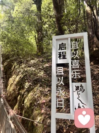 本是后山人，偶做前堂客。
醉舞经阁半卷书，坐井说天阔。
大志戏功名，海斗量福祸。
论到囊中羞涩时，怒指乾坤错。

读丁元英《卜算子·自嘲》，心有万千共鸣。半生混迹俗世厅堂，捧着心理学半卷学识剖解人心，自诩看淡得失福祸，可几番碰壁、考证阻滞、流言缠身，心底难免漫起莫名低落与心酸。明日赴古刹三日静修，暂别尘嚣，敛浮躁、消郁结，以清净禅境沉淀所学，抚平心中万千淤堵。附自和一词，聊记此刻心绪。

久作尘中客，心藏山野庐。
浅研心学千般理，难破眼前淤。
俗扰添愁绪，孤怀藏唏嘘。
明朝古刹辞浮扰，静盏涤尘愚。