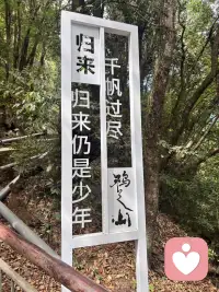 本是后山人，偶做前堂客。
醉舞经阁半卷书，坐井说天阔。
大志戏功名，海斗量福祸。
论到囊中羞涩时，怒指乾坤错。

读丁元英《卜算子·自嘲》，心有万千共鸣。半生混迹俗世厅堂，捧着心理学半卷学识剖解人心，自诩看淡得失福祸，可几番碰壁、考证阻滞、流言缠身，心底难免漫起莫名低落与心酸。明日赴古刹三日静修，暂别尘嚣，敛浮躁、消郁结，以清净禅境沉淀所学，抚平心中万千淤堵。附自和一词，聊记此刻心绪。

久作尘中客，心藏山野庐。
浅研心学千般理，难破眼前淤。
俗扰添愁绪，孤怀藏唏嘘。
明朝古刹辞浮扰，静盏涤尘愚。