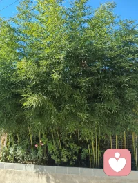 真正的高贵不在于出身，而在于拥有什么样的心灵，灵魂的品级决定人生的高度。 热爱学习和成长 又有使命和担当的老师们给力同行。人总能在事件中获得成长，尤其是那些令你不舒服的事件，它一定在教会你什么，启发你什么。日日寻心，时是觉察。