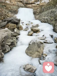 一边是寒冬，一边是花香，世界就是这么美丽配图