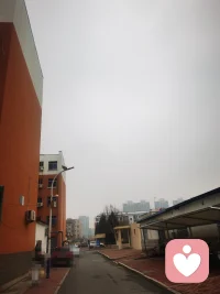 人与人的喜怒哀乐是不相通的，明天要开学了，我的心情像迎春花，孩子的心情像湿冷的阴天。配图