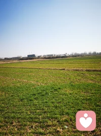 人生在世，有钱难买咱愿意，先取悦自己，在取悦别人。祝所有看到这条微博的帅哥美女，发大财，乐开怀。