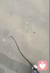 玩过这个推牛牛的游戏吗？听着树枝在地面滋滋拉拉的往前走，很减压。就像人生一样磕磕绊绊，起起伏伏，偶尔停滞，但还是一直往前走，所以困难都是暂时的，往前走才一直往前走才是命运。😊😊