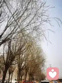 幸福是什么：就是你想发泄的时候，我可以聆听你的烦恼；你高兴的时候，我陪你一起开心；你彷徨的时候，我们一起感慨生活的意义。所有的枝繁叶茂都是从点点嫩芽而来，愿你像春天一样焕发光彩。