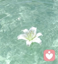 昨晚出去跑步 碰到一只狗  看见我就追着咬，不近不远的一直盯着我，我跑快它就快  我慢它也慢，吓得我一身汗，后来看见路边一根树枝，我赶紧捡起来，万一真咬我也能招呼一下，谁知道它看见我拿起树枝，突然不叫了，夹着尾巴看我，我扬起手作势要打，它就转头跑了。我心里又气又觉得好笑，很多欺负你的人可能就像这只狗，只要你敢于反抗他们也就作罢了。