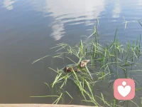 父爱则母敬，母敬则子安，子安则家和；
父懒则母苦，母苦则子惧，子惧则家衰。
家和需要父母的共同努力，谁都不能缺席。
祝看到微博的你，有一个爱自己的人。