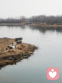 竹外桃花三两枝，春江水暖鸭先知，美好的一天从早上开始，愿快乐多一些，烦恼远一点。祝看到朋友如春光般明媚。配图