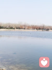 竹外桃花三两枝，春江水暖鸭先知，美好的一天从早上开始，愿快乐多一些，烦恼远一点。祝看到朋友如春光般明媚。配图