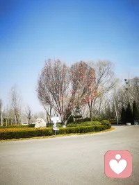 竹外桃花三两枝，春江水暖鸭先知，美好的一天从早上开始，愿快乐多一些，烦恼远一点。祝看到朋友如春光般明媚。配图