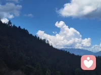 一个人敢在婚内出轨，大概率有两点原因：一是对象很老实很顾家但是没啥本事，你知道出轨的后果不会很严重；二是对方是一个沾花捏草不顾家的人，你们暂时又不能离婚的情况，两个人各过各的。其实出轨是一把双刃剑，伤人伤己。愿你总被温柔以待，有原则有底线。配图