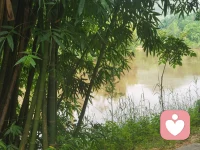 有道无术，术尚可求；有术无道，止于术。学习心理学相关知识和具体应用相辅相成，感谢平台，感每一位来访者。今日春光明媚，愿早起的鸟有食吃，勤奋的人有回报。配图