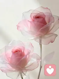 许多焦虑的人，都是缺乏爱和安全感的人，他们自卑，敏感，遇到事情都会自责，不管是不是自己的原因，希望能和你一起蜕变配图