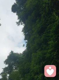 分享一下“宇凡”这位朋友的心得·倾听师长期拼的就这4件事：
1. 拼「情绪承载力」，不是拼话多
你能接住多少黑暗、压抑、崩溃、极端情绪，不被带偏、不被耗干、不被击穿，决定你能走多深、走多久。短期靠热情，长期靠心力边界。
2. 拼「稳定输出力」，不是拼一时爆发不是今天接10单、明天爆单，
而是天天能接、天天稳得住、天天不敷衍。长期主义，拼的是可持续。
3. 拼「信任沉淀力」，不是拼流量技巧用户记住的不是你多会说，
而是你真的懂他、稳得住他、不评判他。口碑不是刷出来的，是一个人一个人攒出来的。能复购、能回头、能推荐，才是真本事。
4. 拼「自我修复力」，这是最底层的底牌倾听师最容易耗的不是时间，是心神。你能不能：听完负能量快速抽离、不把来访者的痛变成自己的病、不熬夜硬扛、不自我感动式牺牲，决定你这行是干几年，还是干一辈子。
 
 最后总纲：倾听师短期拼勤快，中期拼专业，长期拼的是：不被消耗、不被击穿、不被带走，永远稳得住自己，也稳得住别人。 倾听师真正的核心竞争力：稳得住自己，才托得住别人。道为心，佛为骨，儒为表，策马奔腾潇洒闯给力！配图