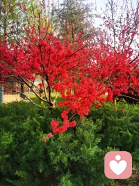 安慰不在于说了多少，而在于真心感觉。一份真诚的安慰，可以温暖我们的心灵，让我们在困难中不再感到孤单。
安慰是温暖的阳光，是治愈的良药，是我们内心深处的必需品。在这喧嚣的世界里，安慰是我们心灵的归宿。早上好亲爱的朋友