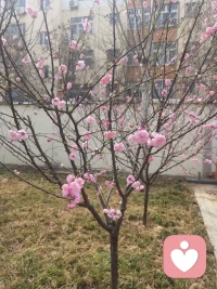 春光正好，我们一起去郊游吧，今天孩子学校组织交流，我也是沾光了