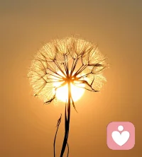 温柔文字倾听｜不评判、不打断、严格保密
我在这里，慢慢听你说配图