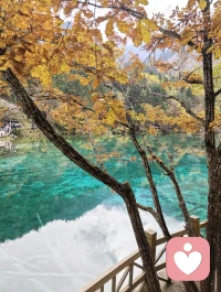 你不是一张待办清单，不需要靠完成所有事来证明自己的价值。你的存在，本身就是意义配图