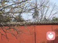 我在听，你想说什么都可以。配图