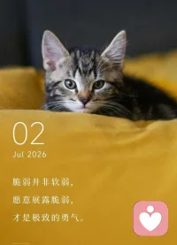 接纳脆弱，才会真正拥抱完整的自己。