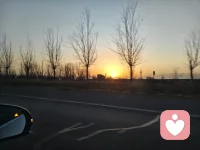 我们终其一生都在找一个能说话的人，能听你说话，能听懂你说话，能听你说废话的，这看似简单的想法，实则要多幸运才能遇到，肉体相伴比比皆是，但灵魂共鸣寥寥无几。配图