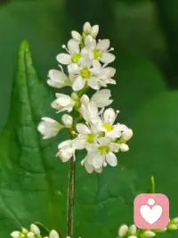 已婚男人爱上自己妻子以外的女人，不一定就是婚姻不幸福或是太爱这个外遇女人。 当一个男人在婚外表达爱情时，心里只想占有这个女人，他不会幼稚地想到要和她结婚。而女人在表达爱情时往往脑海里就会闪现出两人身穿婚纱站在教堂里的情景。这种天壤之别的心态，构成了男人和女人在婚外恋时的巨大心理差异。配图