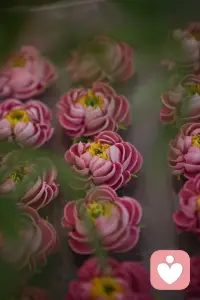 我们常常身体在当下，心却流浪在过去或未来——为打翻的牛奶哭泣，为尚未到来的风雨筑墙。正念之父乔·卡巴金博士指出：刻意地、不加评判地关注当下，是疗愈的起点。

练习方法很简单：
呼吸锚定
焦虑袭来时，停下，感受5次完整的呼吸。空气进出鼻腔的温度、胸腔腹部的起伏...只关注这些。配图