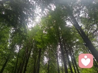大美云南的小锅米线、烧饵块、香甜菌子瞬间消散心中的阴蔓与焦虑配图