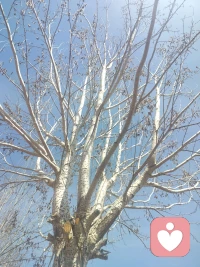 谈心事，享烟火，用温柔相待，换长久安心