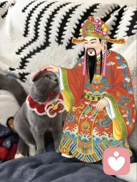 应聘心理秒回师，温柔善良，可盐可甜配图