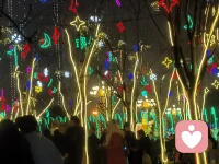 健康的活着，开心的玩着，我们的灵魂，需要一个丰盈而温暖的栖息地。配图