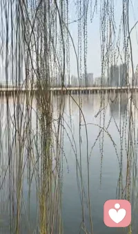 1.你愿意告诉我你怎么了吗？    2.我听见你的声音了  3.我可以感受到你的感受了   4.我想了解你需要我为你做什么，能为你做什么， 5.你是否愿和我一起……6.我相信你，我支持你的选择   7.我永远爱你，不管你有什么变化配图