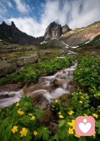 好好生活，看路边的草木发芽，看天上的云卷云舒；好好赏景，看春日的繁花似锦，看秋日的落叶静美；好好善待自己，把自己放在心上，才是终身浪漫的开始。配图