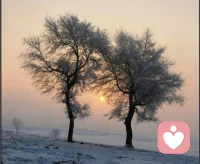 学会和自己和解。那些拧巴的时刻，终会被温柔化解。配图