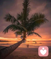 接纳生活的不完美，那些磕磕绊绊，都是成长的勋章，让你成为独一无二的自己。配图