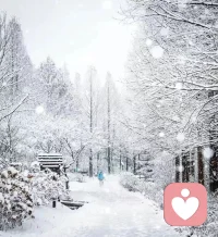 人，不必成为别人，愿意的话，可做清风、做细雨、做山间草木，做独一无二的自己，就像雪落人间一样。配图