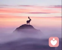 接受不完美的自己。裂缝里，才会照进阳光。配图