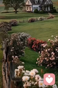 云飘向万里晴空，去去也从容，人间一趟，既要热烈，也要从容。配图