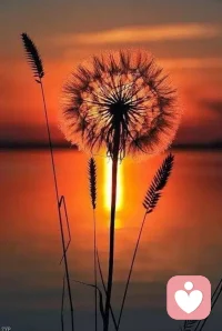 人本主义心理学家卡尔·罗杰斯提出的“共情理解”是情感的润滑剂。每个看似不合理的行为背后，都有一个未被满足的心理需求。配图