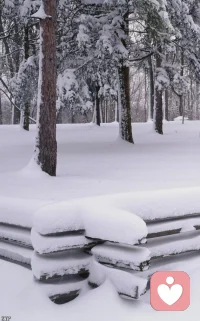 别和自己较劲，别和生活纠缠，得到的学会珍惜，失去的坦然放下，人生本就不完美，知足方能常乐。风有风的爽，雪有雪的美，冬天过后就是春天。配图