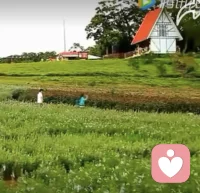 别和自己较劲，别和生活纠缠，得到的学会珍惜，失去的坦然放下，人生本就不完美，知足方能常乐。风有风的爽，雪有雪的美，冬天过后就是春天。配图