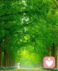 若心向远方，风无阻，路无界。配图