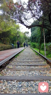 一心向前走，不必回头顾，自有风景如期等候！早安！配图