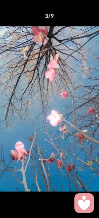 万物共生，和谐共处，这是自然的法则，也是人类的智慧。配图