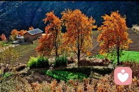 不负人间秀色！配图