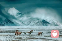 不负人间秀色！配图