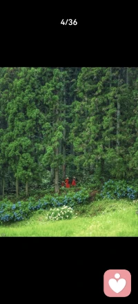 ²⁰²⁶/₀₃.₂₀ 🐉🌸

       春分遇上二月二龙抬头，一半是春色平分，一半是龙启新程。春信已至，万物向阳。
       愿在这温柔的春光里，抬头见喜，步步生花💐💐💐配图