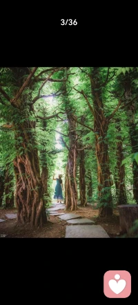 新的一天开始了！愿你愿我愿大家像春天的阳光一样暖暖的，亮亮的……